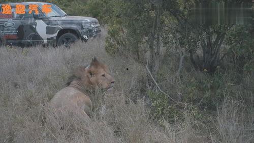爆料路虎卫士视频播放,硬派越野再升级，性能与颜值并存
