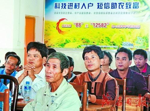 农民兄弟爆料视频播放下载,播放下载量惊人 第2张 农民兄弟爆料视频播放下载,播放下载量惊人 第2张