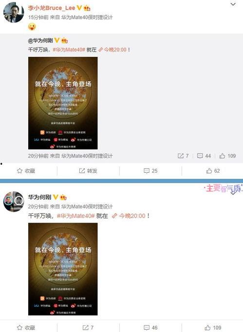 最新爆料出炉视频大全,揭秘热点事件背后的真相